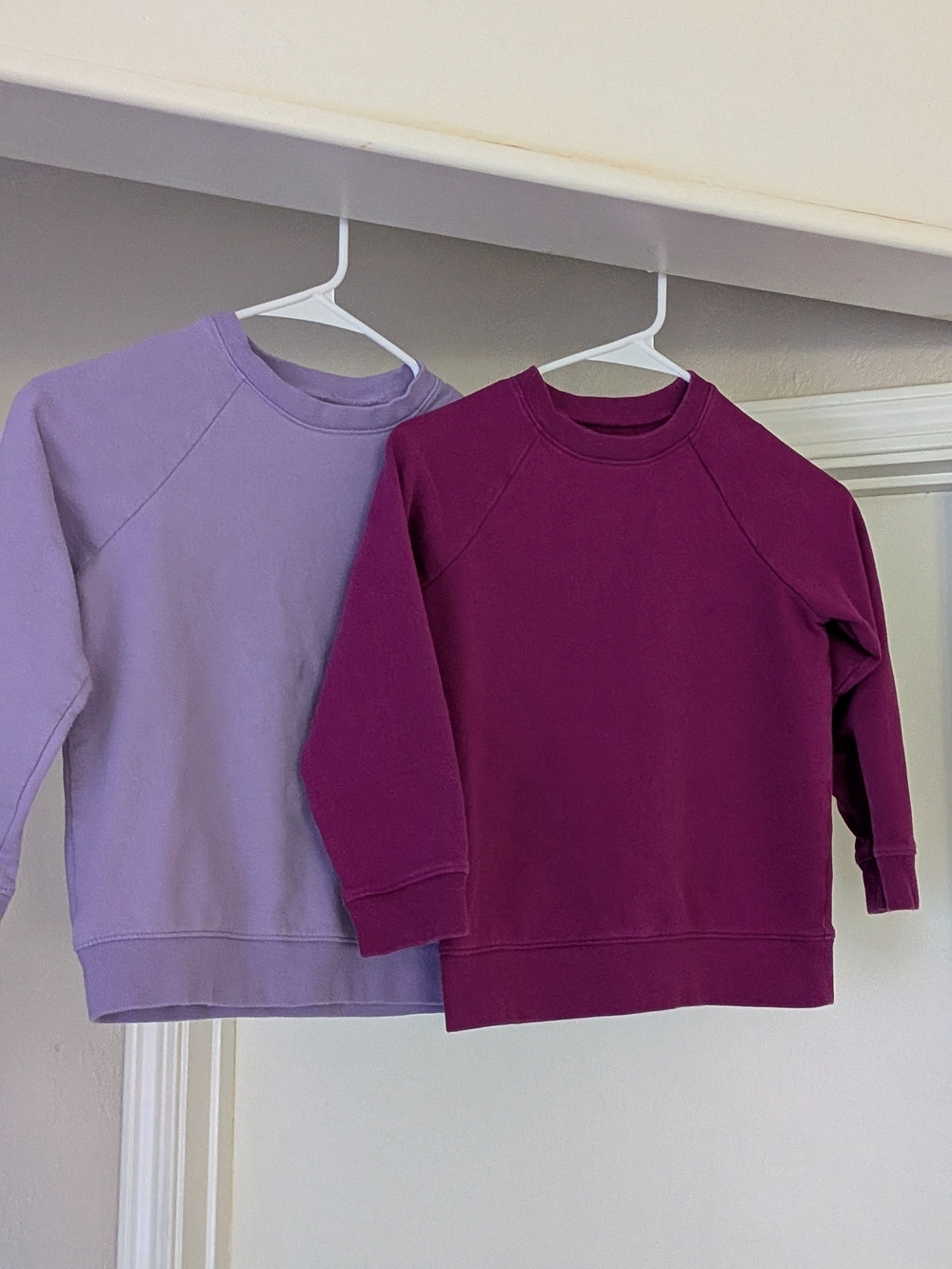Primary Crewneck Sweatshirts - Lavender & Plum